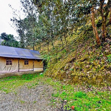Oyo 29888 Nature Treat Otel Chail Dış mekan fotoğraf