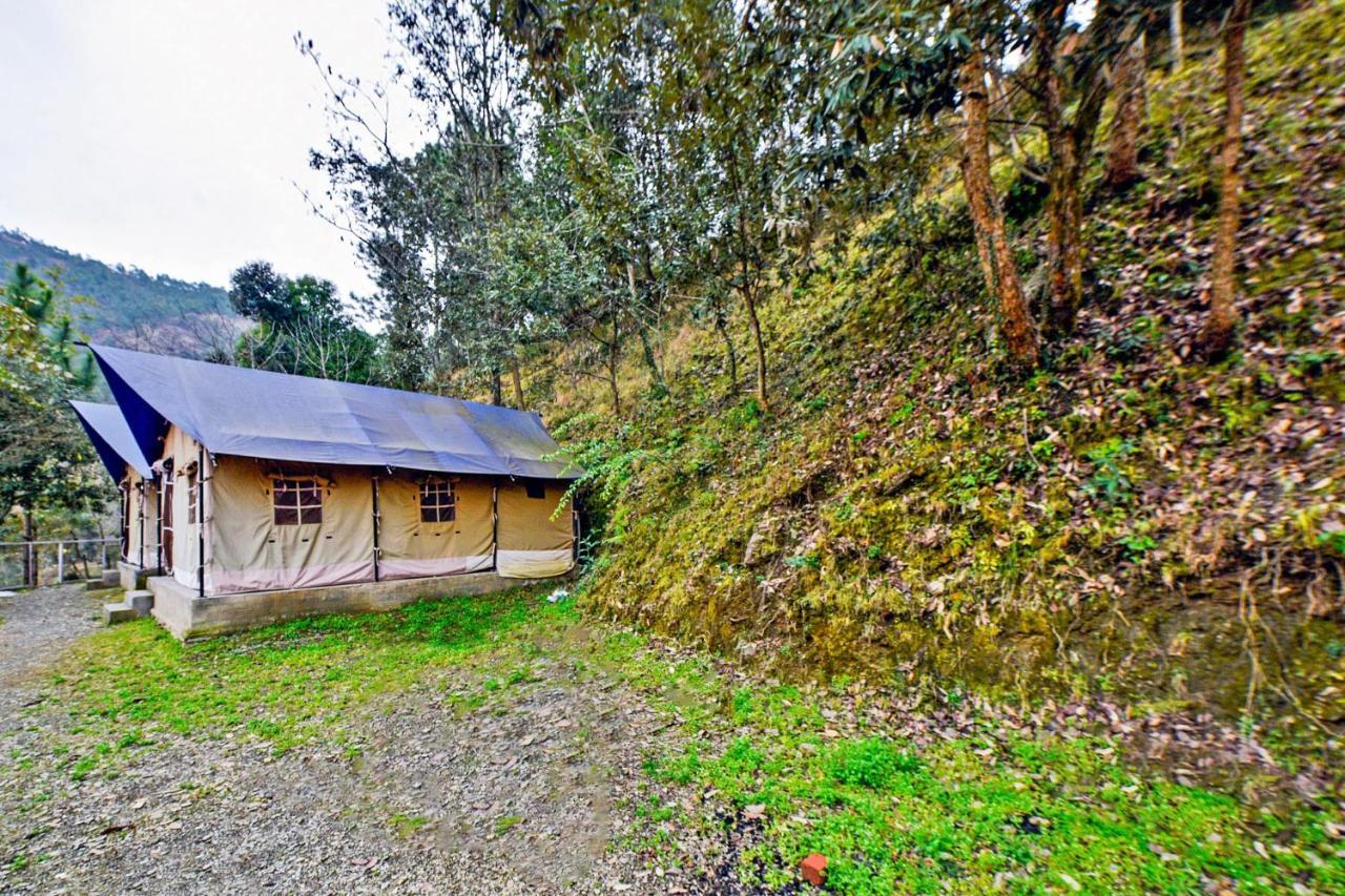Oyo 29888 Nature Treat Otel Chail Dış mekan fotoğraf